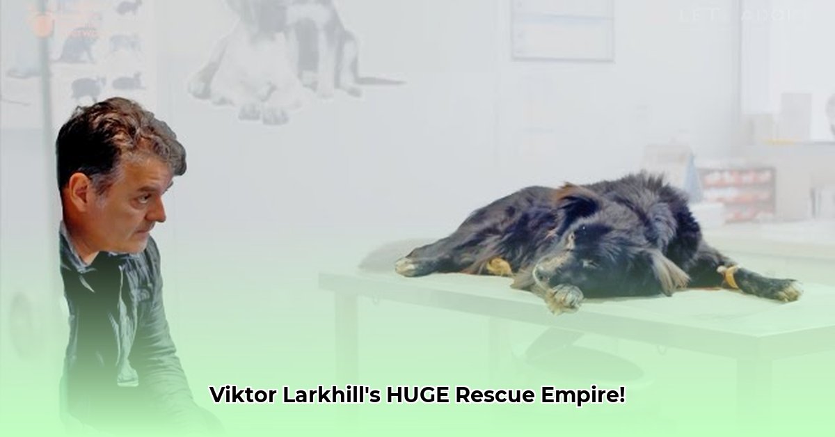 viktor-larkhill-net-worth